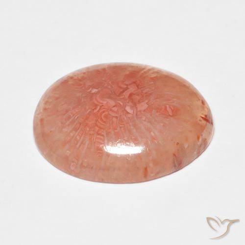 Corallo Multicolore naturale da 7.43 ct, Ovale, Traslucido