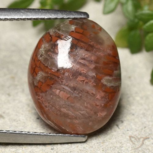 7.28ct Naturale Multicolore Corallo, Ovale, Traslucido