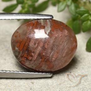 Corallo Multicolore naturale da 7.28 ct, Ovale, Traslucido