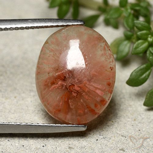 7.91ct Naturale Multicolore Corallo, Ovale, Traslucido