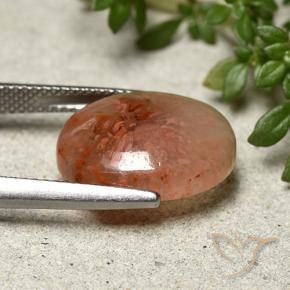 Corallo Multicolore naturale da 7.91 ct, Ovale, Traslucido