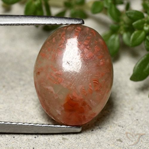 6.66ct Naturale Multicolore Corallo, Ovale, Traslucido