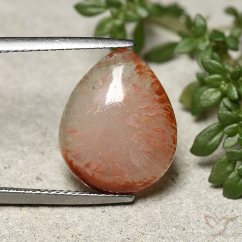 7.31ct Naturale Multicolore Corallo, Forma a pera, Traslucido