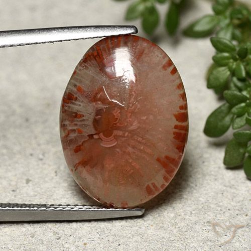 10.04ct Naturale Multicolore Corallo, Ovale, Traslucido
