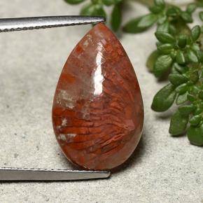 Corallo naturale multicolore da 8,19 ct, taglio a pera, opaco