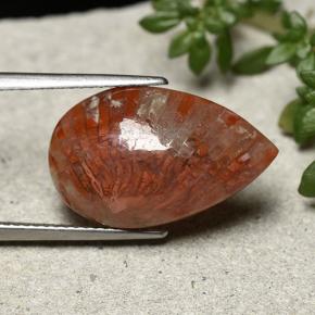 Corallo naturale multicolore da 8,19 ct, taglio a pera, opaco
