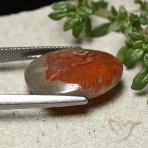 Corallo Multicolore naturale da 8.92 ct, Taglio a fantasia, Opaco