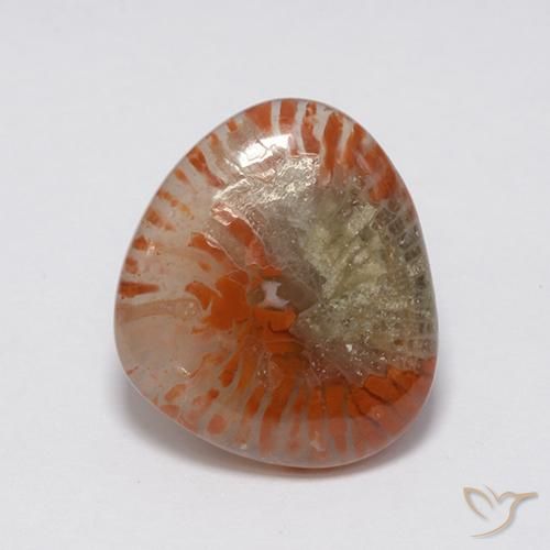 7.59ct Naturale Multicolore Corallo, Taglio a fantasia, Traslucido