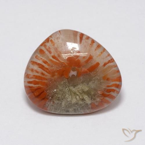 Corallo Multicolore naturale da 7.59 ct, Taglio a fantasia, Traslucido