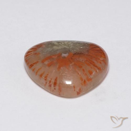 Corallo Multicolore naturale da 7.59 ct, Taglio a fantasia, Traslucido