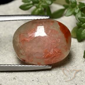 Corallo Multicolore naturale da 6.86 ct, Ovale, Traslucido