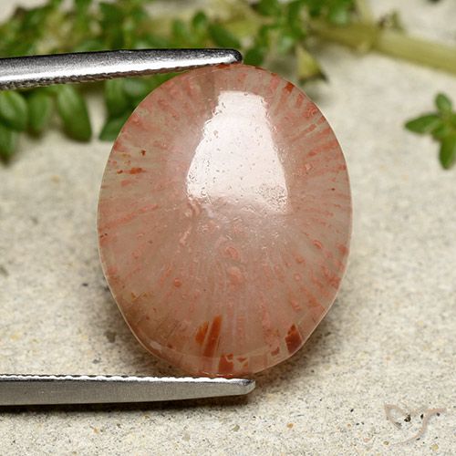7.55ct Naturale Multicolore Corallo, Ovale, Traslucido