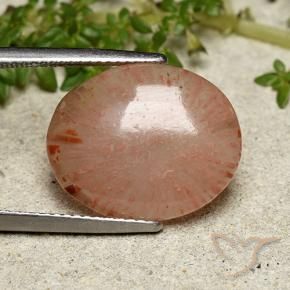 Corallo Multicolore naturale da 7.55 ct, Ovale, Traslucido