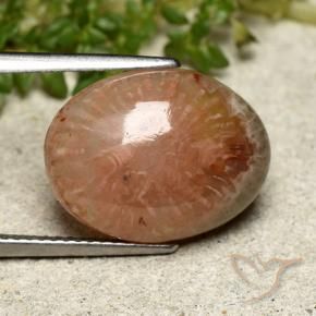 Corallo Multicolore naturale da 7.64 ct, Ovale, Traslucido