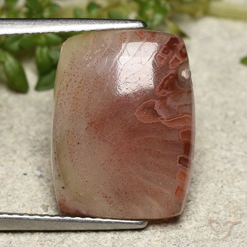 Corallo Multicolore naturale da 5.47 ct, Taglio a cuscino, Traslucido