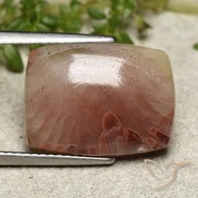 Corallo Multicolore naturale da 5.47 ct, Taglio a cuscino, Traslucido