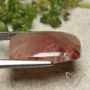 Corallo Multicolore naturale da 5.47 ct, Taglio a cuscino, Traslucido