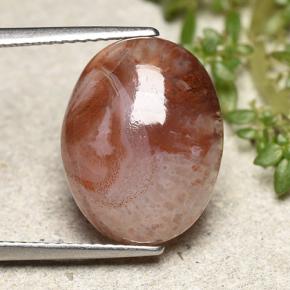 Corallo Multicolore naturale da 6.86 ct, Taglio ovale, Traslucido