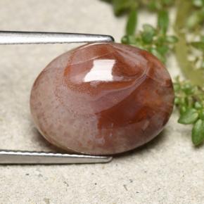 Corallo Multicolore naturale da 6.86 ct, Taglio ovale, Traslucido