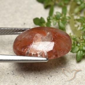 Corallo Multicolore naturale da 5.98 ct, Ovale, Traslucido
