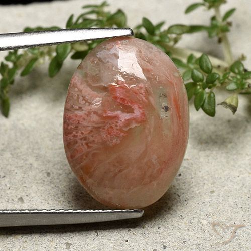7.30ct Naturale Multicolore Corallo, Ovale, Traslucido