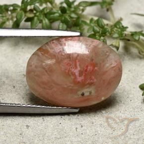 Corallo Multicolore naturale da 7.30 ct, Ovale, Traslucido