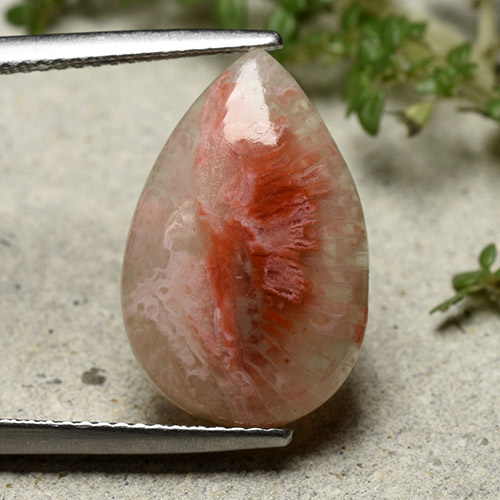 Corallo Multicolore naturale da 5.62 ct, Forma a pera, Traslucido