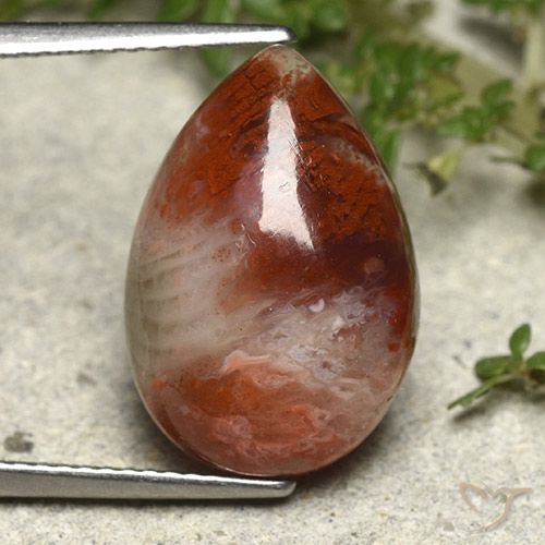 Corallo Multicolore naturale da 7.34 ct, Forma a pera, Opaco