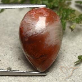 Corallo Multicolore naturale da 7.34 ct, Forma a pera, Opaco