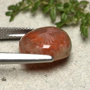 Corallo naturale multicolore da 7,61 ct, forma fantasia, traslucido