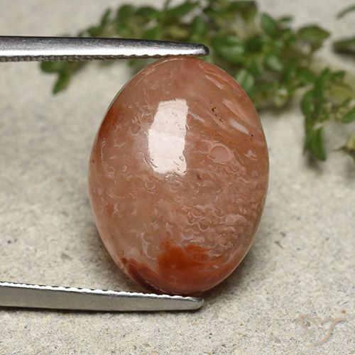 10.75ct Naturale Multicolore Corallo, Ovale, Traslucido
