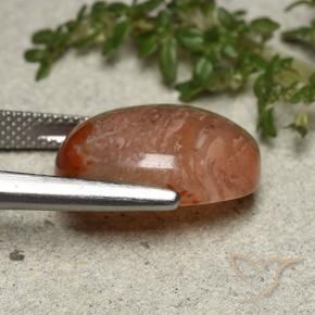 Corallo Multicolore naturale da 10.75 ct, Ovale, Traslucido