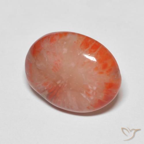 Corallo Multicolore naturale da 4.60 ct, Ovale, Traslucido