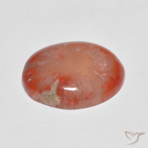 Corallo Multicolore naturale da 4.60 ct, Ovale, Traslucido