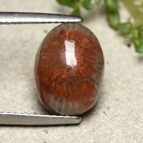 Corallo Multicolore naturale da 4.83 ct, Taglio ovale, Opaco