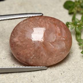 Corallo naturale multicolore da 16,05 ct, taglio ovale, traslucido