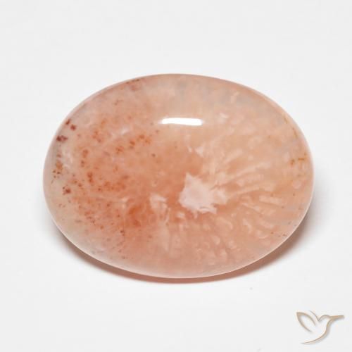 Corallo naturale multicolore da 9,34 ct, taglio ovale, traslucido