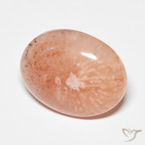 Corallo naturale multicolore da 9,34 ct, taglio ovale, traslucido