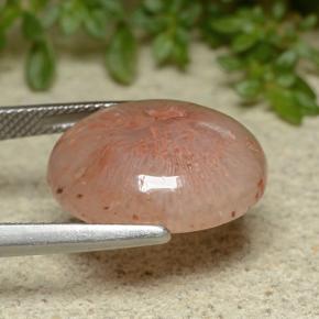 Corallo Multicolore naturale da 10.65 ct, Taglio ovale, Traslucido