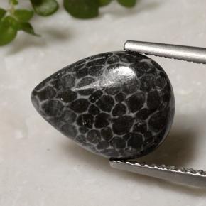 Corallo naturale multicolore da 2,93 ct, taglio a pera, opaco