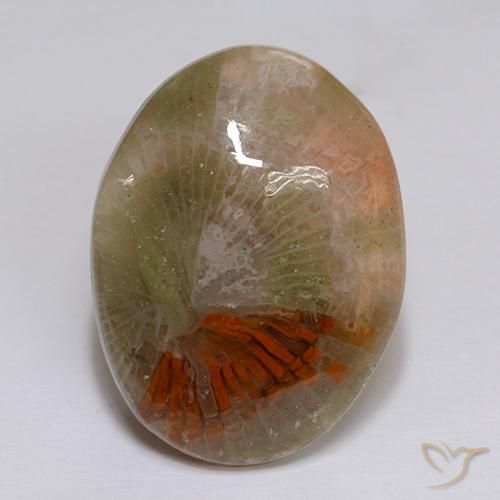 Corallo Multicolore naturale da 16.14 ct, Ovale, Traslucido