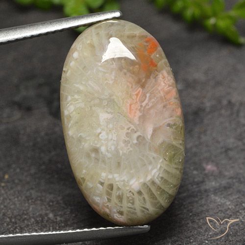 11.82ct Naturale Multicolore Corallo, Ovale, Traslucido