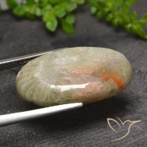Corallo Multicolore naturale da 11.82 ct, Ovale, Traslucido