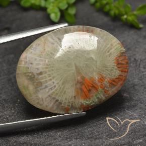 Corallo Multicolore naturale da 15.10 ct, Ovale, Traslucido