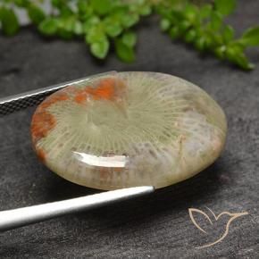 Corallo Multicolore naturale da 15.10 ct, Ovale, Traslucido
