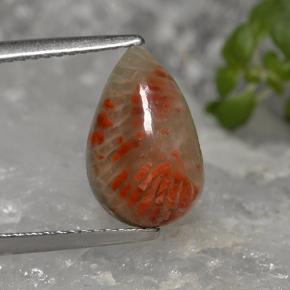 Corallo naturale multicolore da 2,84 ct, taglio a pera, opaco