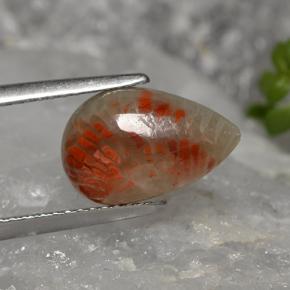 Corallo naturale multicolore da 2,84 ct, taglio a pera, opaco