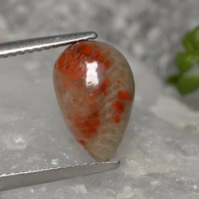 Corallo naturale multicolore da 2,84 ct, taglio a pera, opaco