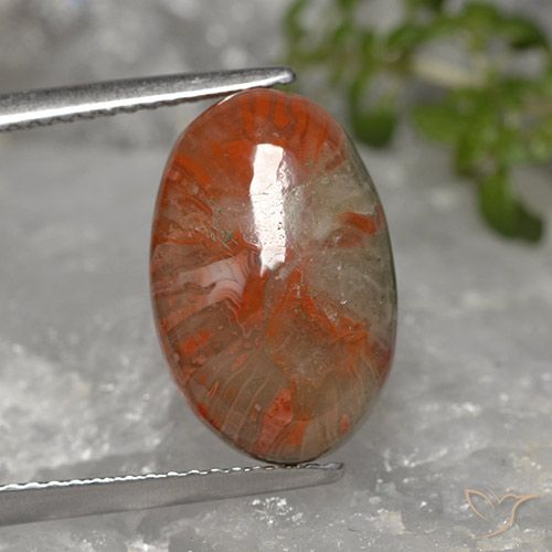 5.96ct Naturale Multicolore Corallo, Ovale, Opaco
