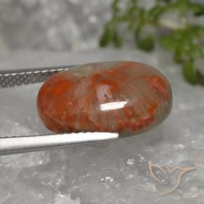 Corallo Multicolore naturale da 5.96 ct, Ovale, Opaco
